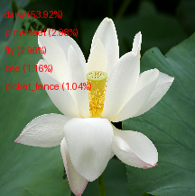 Flower Classification Output